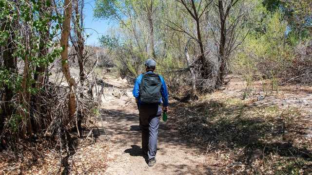 A hiker carrying a water bottle. The cab version is the case of water in the photo above